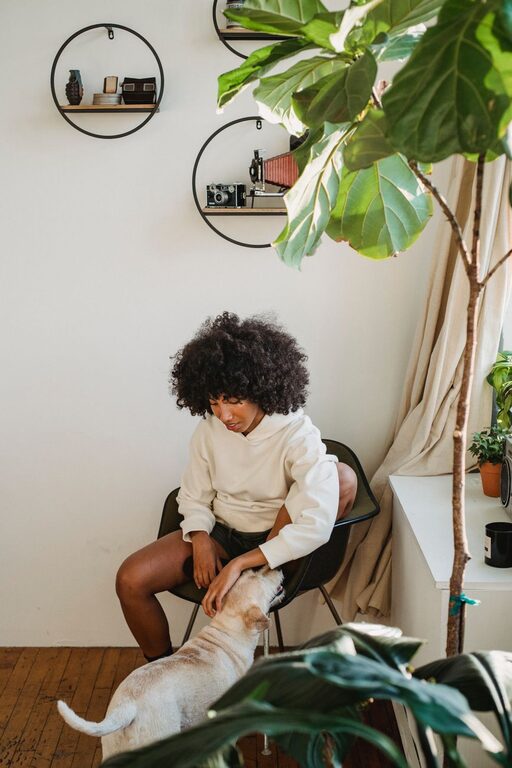 How to Create a Cozy and Safe Pet-Friendly Home Corner